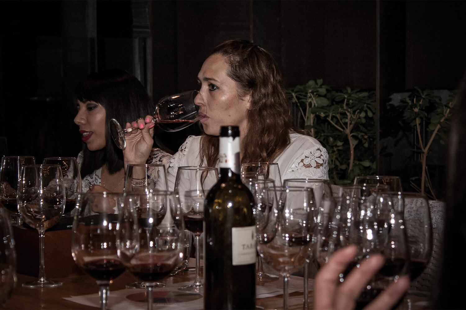 Gestión Del Almacenaje De Vinos